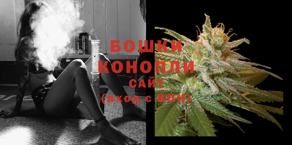 сатива Переславль-Залесский