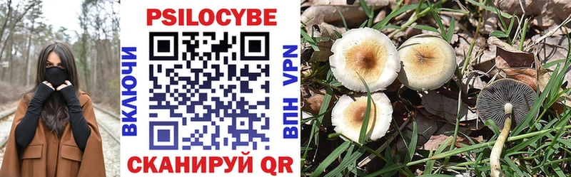 Галлюциногенные грибы Psilocybe  Купить закладки  Курск 
